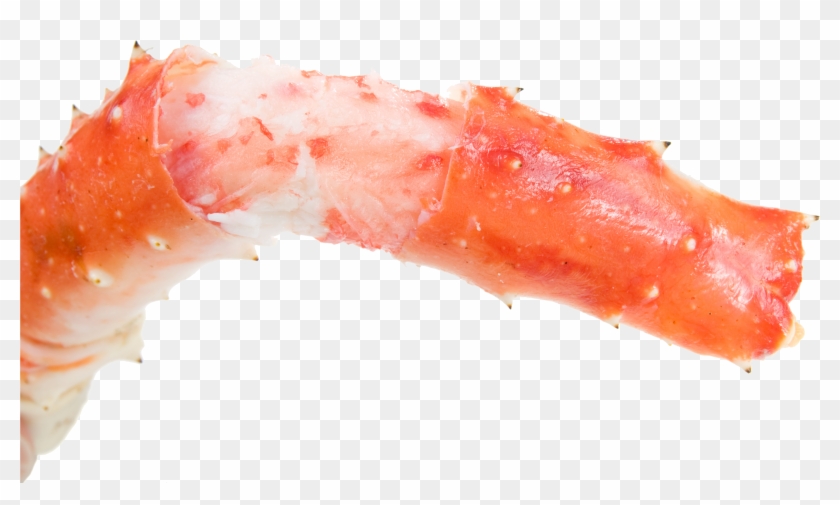 King Crab Legs Png Clipart #3902866