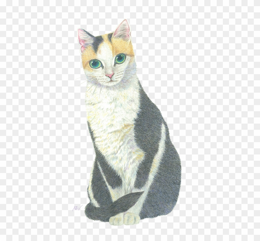 Bleed Area May Not Be Visible - Drawing Clipart