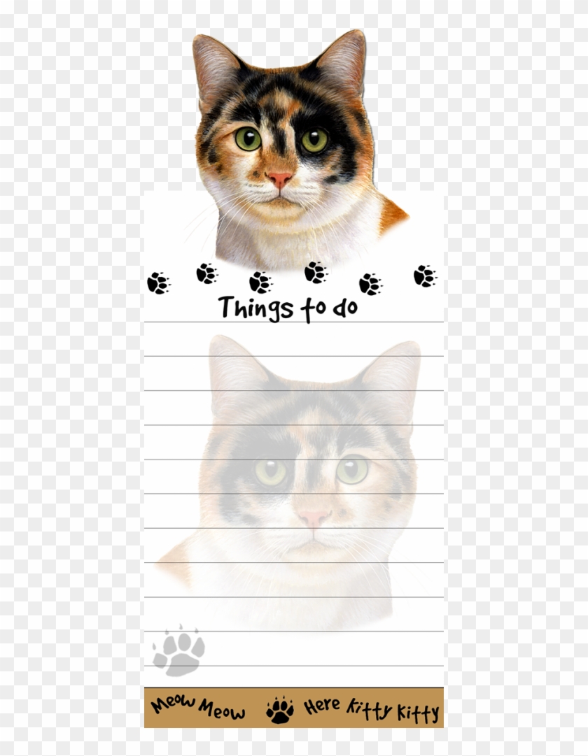 More Views - Domestic Short-haired Cat Clipart
