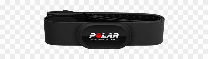 Polar Clipart #3903902