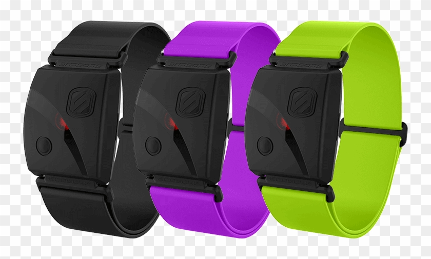 Scosche Rhythm 24 Clipart