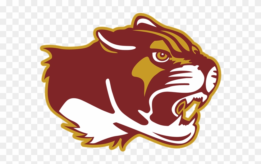 North Ap Students Recognized In New York Times Vocabulary - Bloomington North High School Clipart #3904515