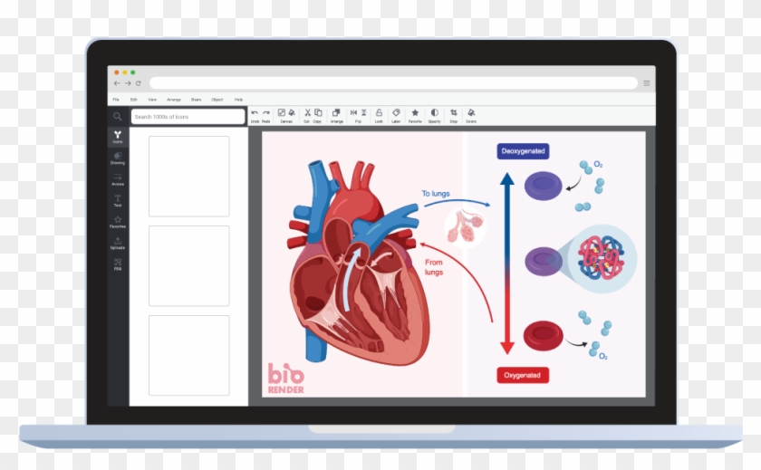 Use This Icon In Biorender Along With 1000s Of Others - Illustration Clipart #3905633