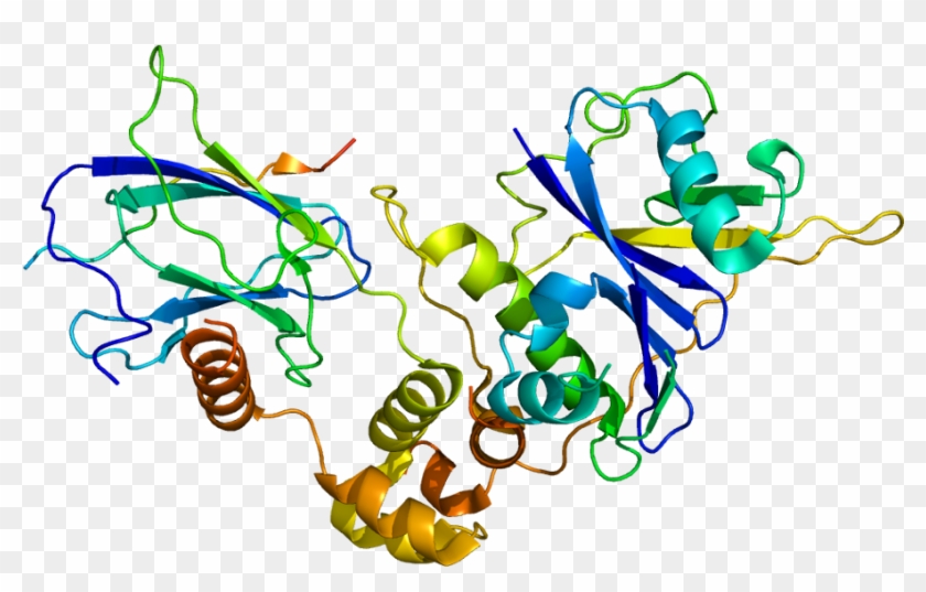 Von Hippel Lindau Gene Clipart #3906323