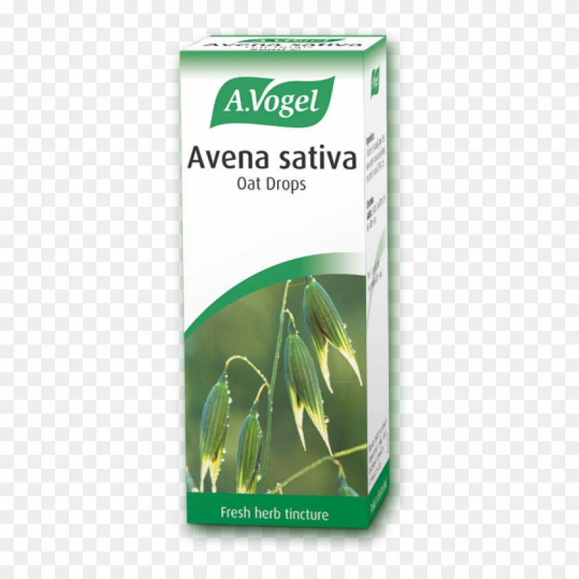 Avena Sativa Oat Drops 50ml - Vogel Avena Calm Clipart #3906910