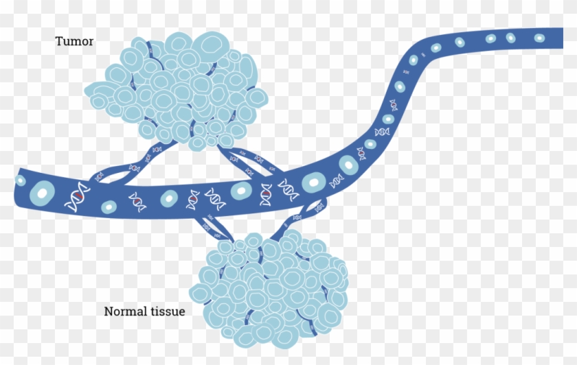 Summary - - Illustration Clipart #3907097