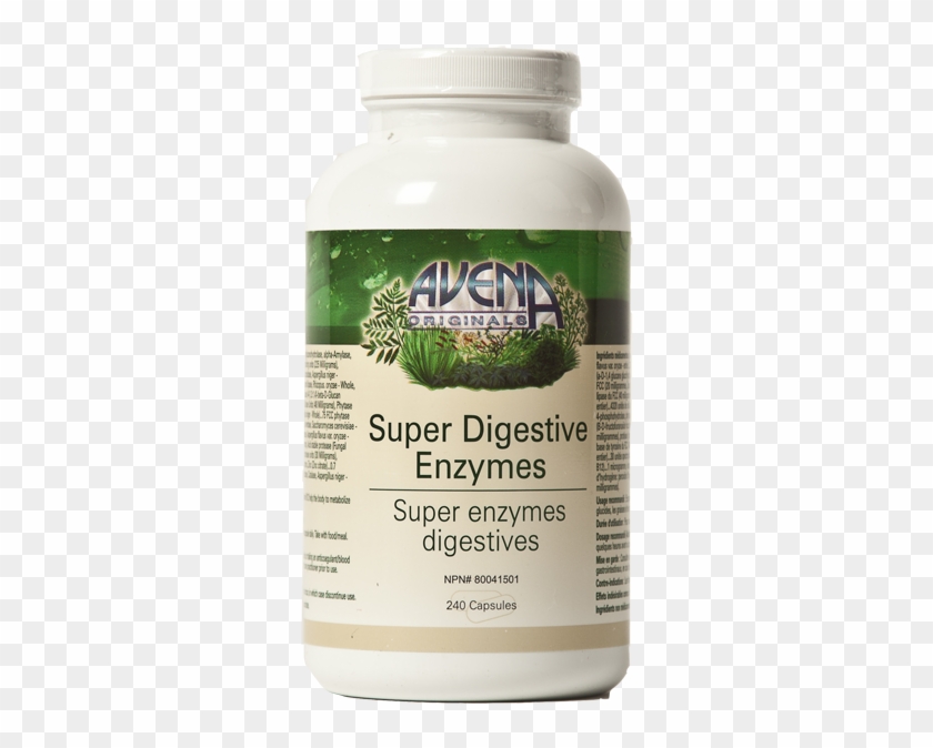 Look For Avena`s Cultured Base Enzymes - Hericium Clipart #3907924