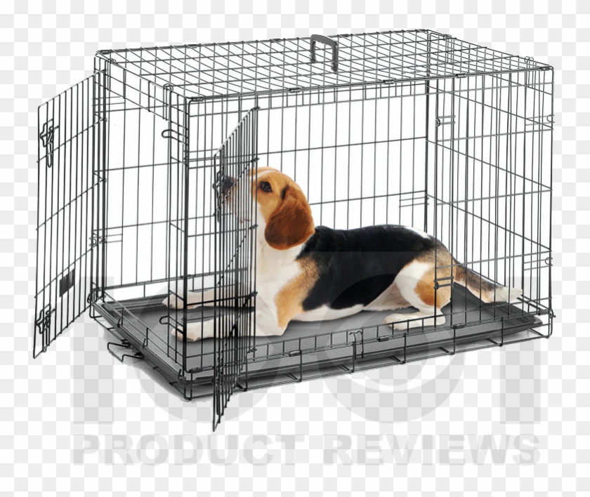 Bernese Mountain Dog, Dog Crate, Crate, Dog Png Image - Cage For Dog Clipart #3908886