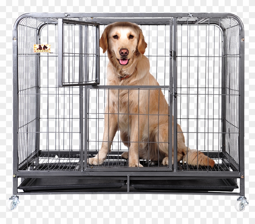 Huayuan Hoopet Square Tube Dog Cage Large Dog Jinmao - Labrador Retriever Clipart #3909071