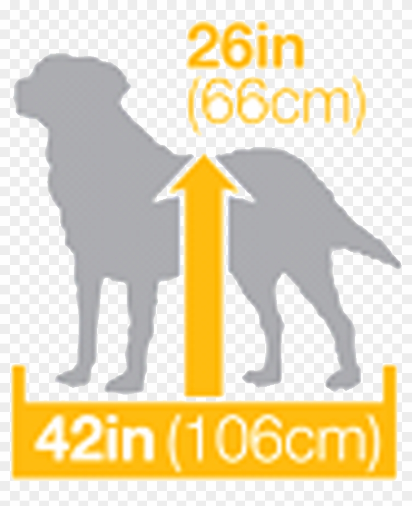 Previous Next - Dog Catches Something Clipart #3910013