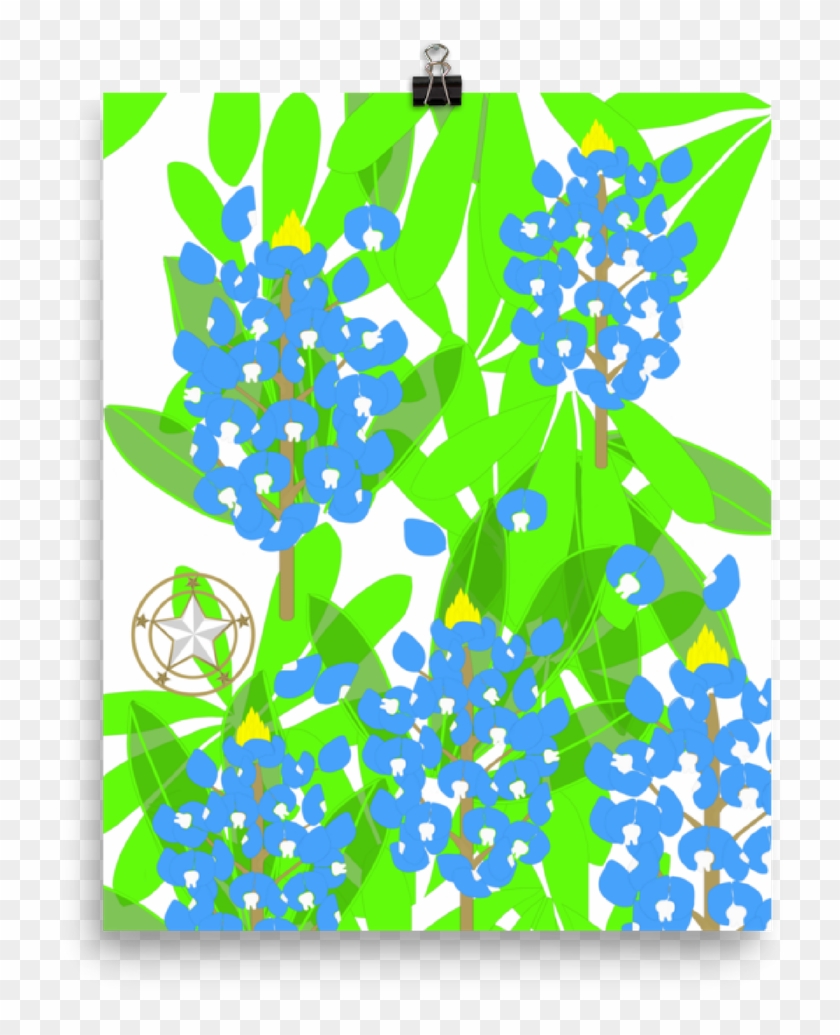 Flowers Clipart Bluebonnet - Illustration - Png Download