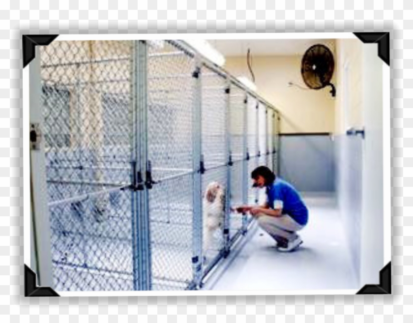 This Is Special Tlc Time With A Caregiver, Where Your - Mesh Clipart #3910482