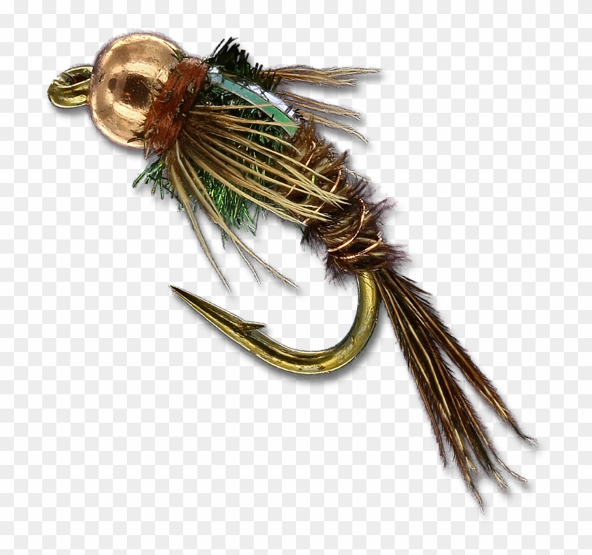 Fly Clipart #3910707