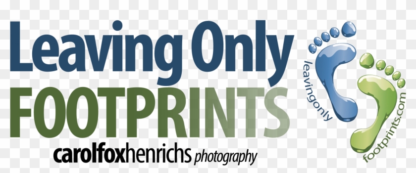 Back Home - Graphics Clipart #3910734