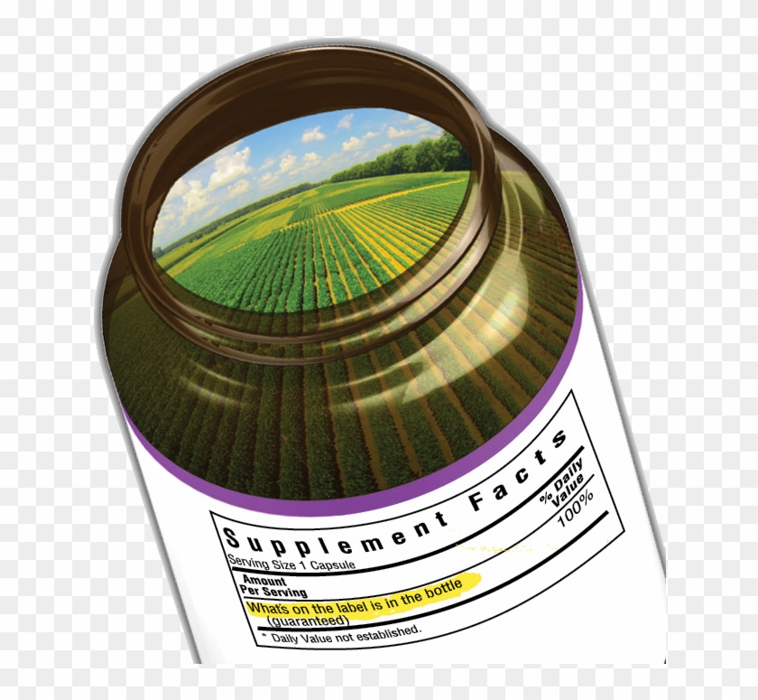 Ensuring Honesty From Start To Finish Through Transparency - Circle Clipart