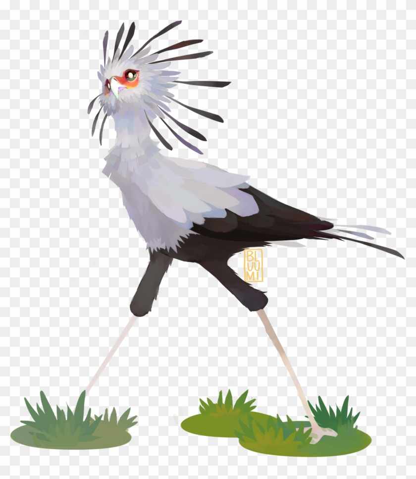 Bluu @ Hiatus - Secretary Bird Drawing Clipart