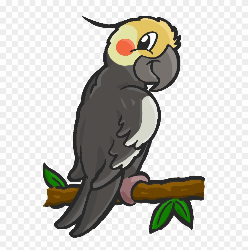 Collection Of Free Rolling Download On Ubisafe - Drawings Of Cartoon Cockatiels Clipart