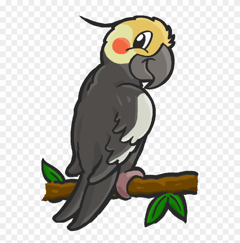 Collection Of Free Rolling Download On Ubisafe - Drawings Of Cartoon Cockatiels Clipart #3913939