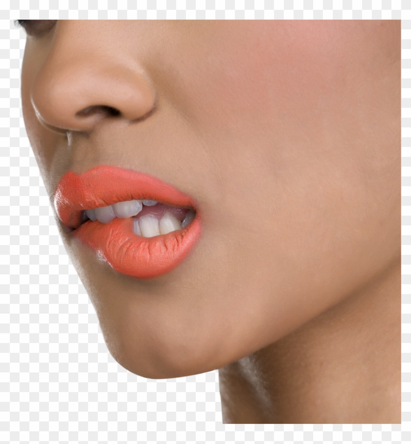 Cockatiel Bites Do Cockatiels Bite - Cockatiel Bite Clipart #3914025