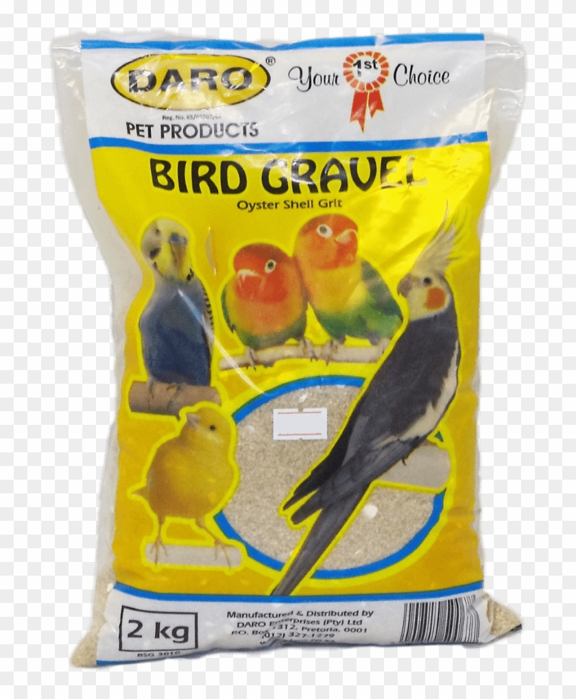 Bird-gravel - Cockatiel Clipart #3914056