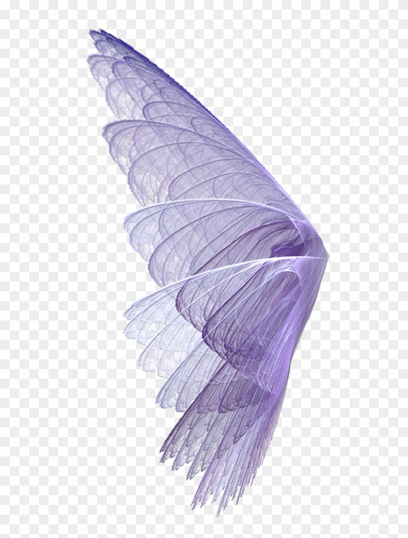 Wing Wingssticker Wings Perpel Bts Exo Ss501 Kard Hyuna - Transparent Background Fairy Wings Png Clipart #3914153