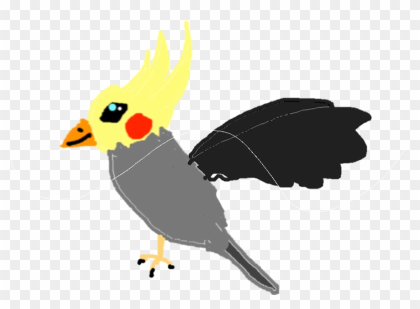 Drawing - Drawing Copy - Cockatiel Clipart #3914324