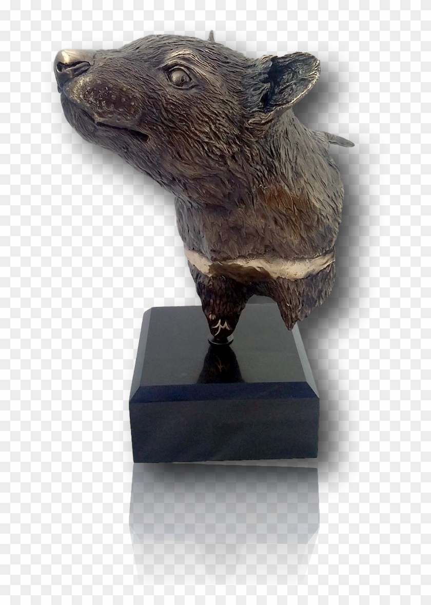 Life Sized Tasmanian Devil Bust - Bronze Sculpture Clipart