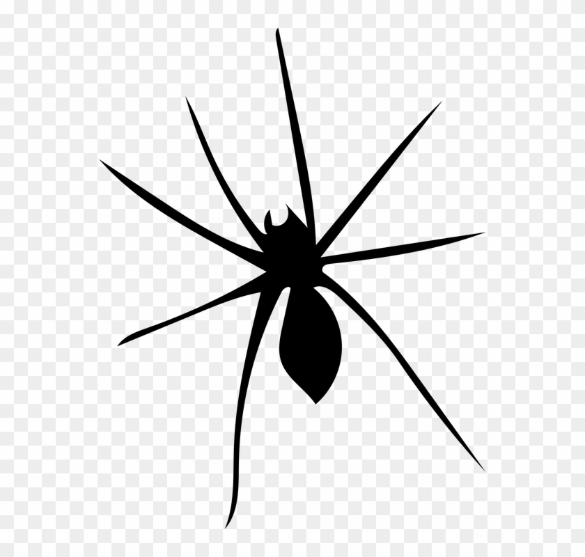 Widow Spider Clipart #3914505