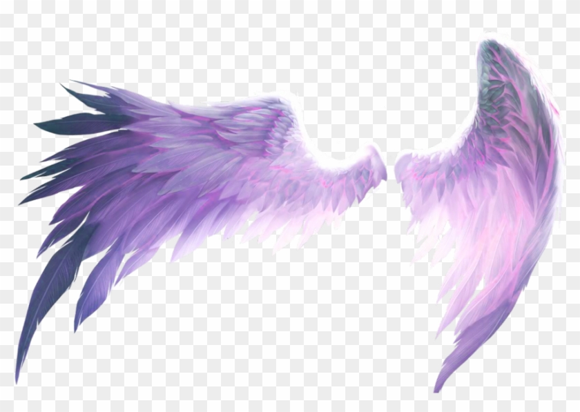#ftestickers #wings #purple - Pink Angel Wings Png Clipart #3914532