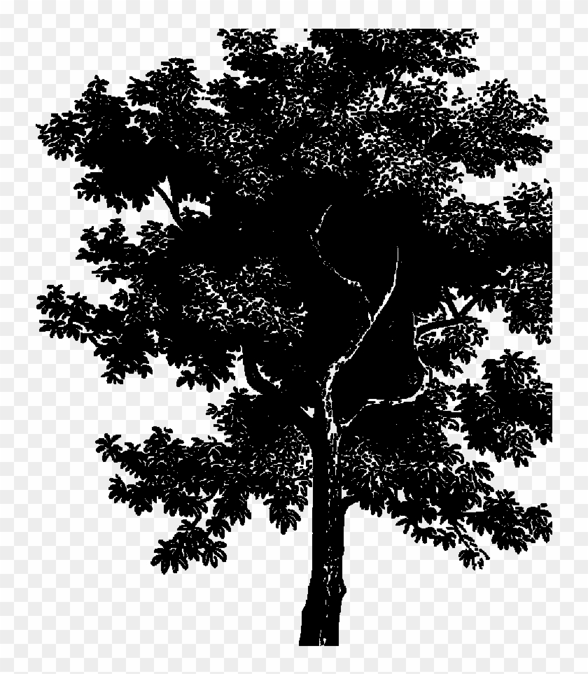 Red'shine - Monochrome Clipart