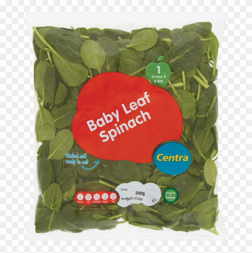 Spinach - Chard Clipart #3915754