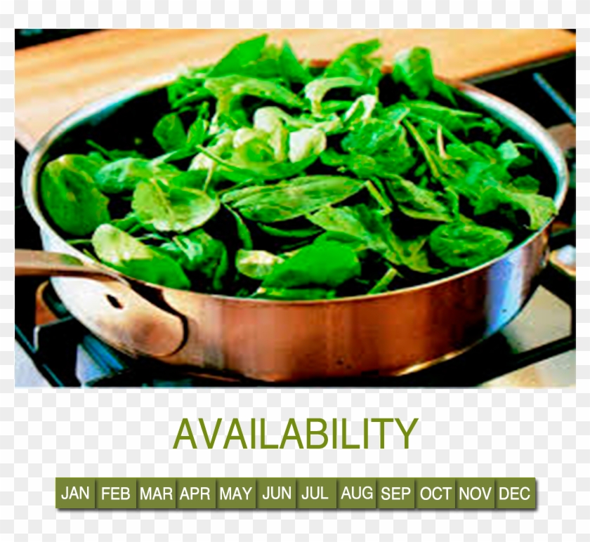 Spinach Clipart #3916312