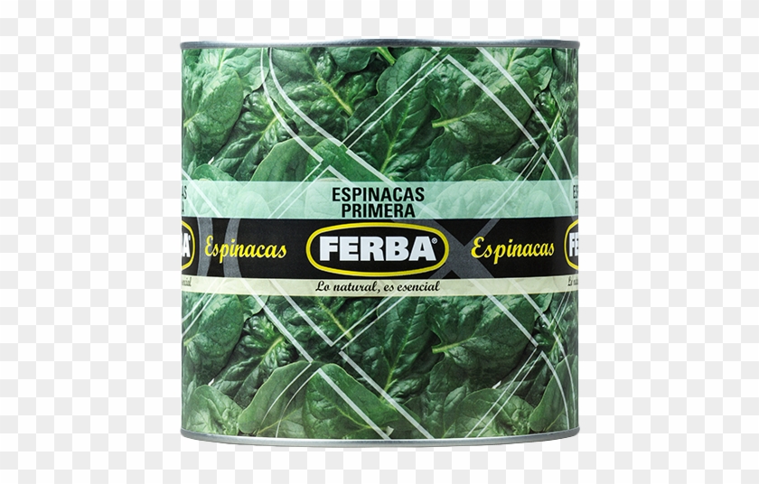 Spinach 2500g - Mexican Pinyon Clipart