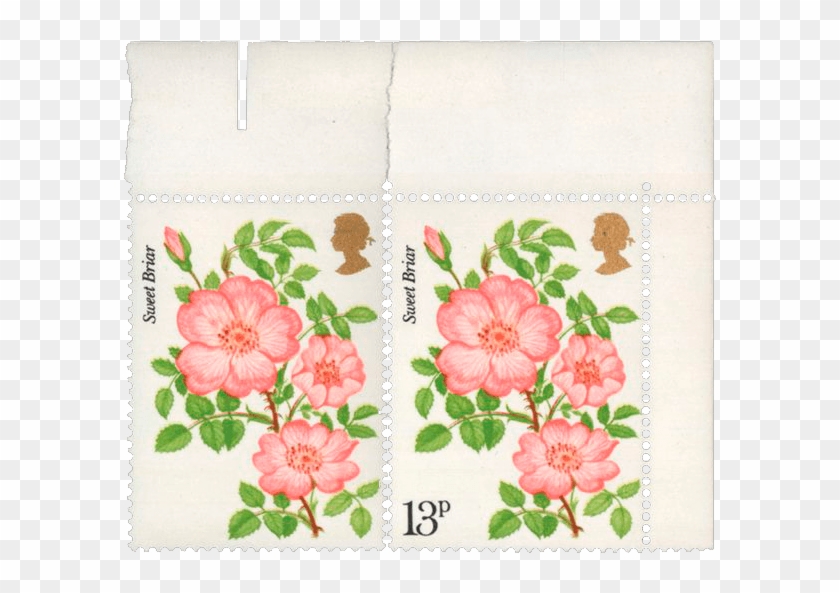The Roses Error Stamp, - Roses Error Stamp Clipart #3918044