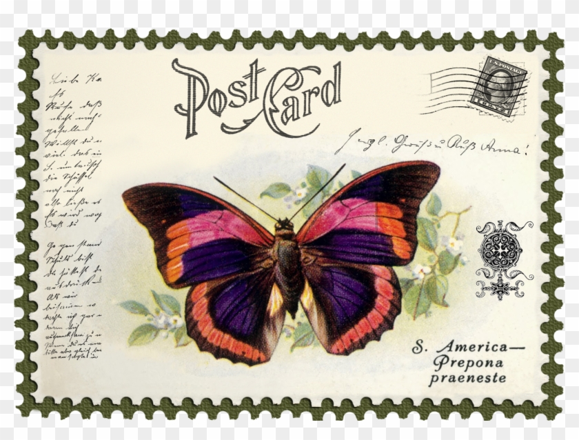Juno Ccrl Your King Is Comingjuno Vintage Butterfly - Tasbeeh E Fatima Zahra Clipart #3918452