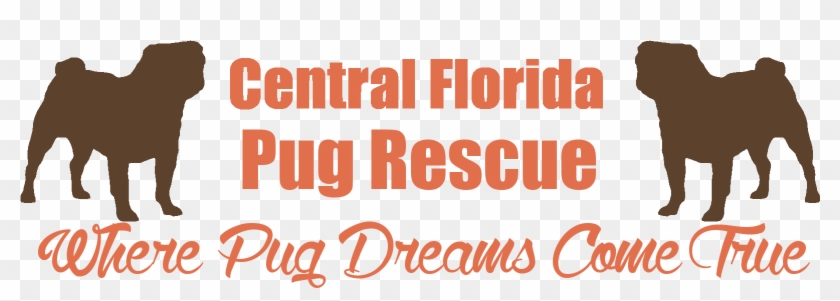 Central Florida Pug Rescue - Poster Clipart #3918459