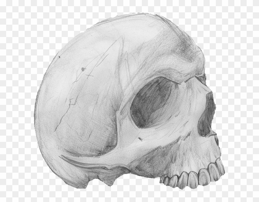 Totenkopf - Skull Clipart #3919730