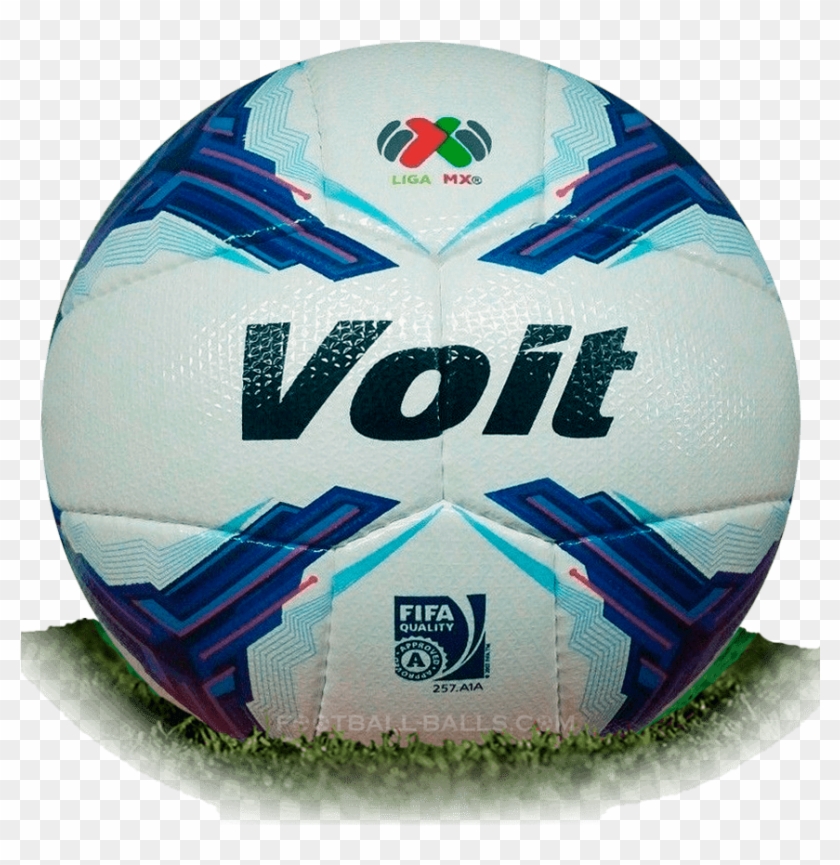 voit soccer ball 2018