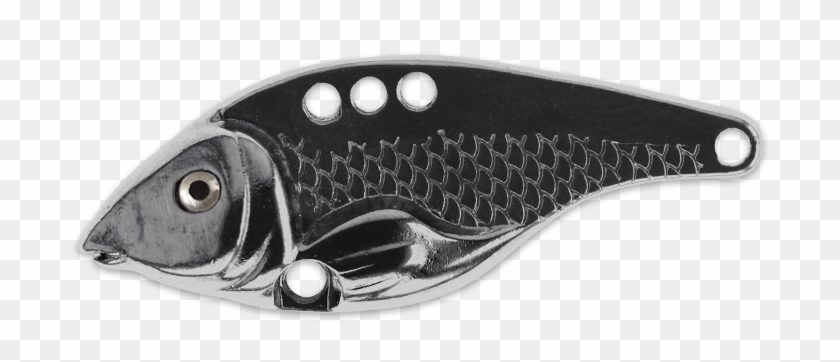 Admiral - Silver - Wrasses Clipart #3921314