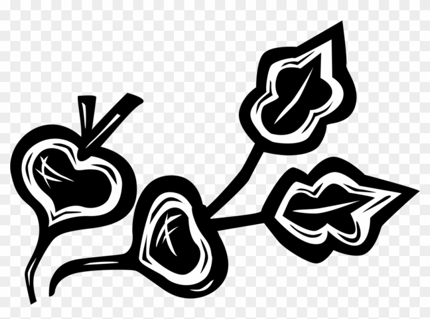 Vector Illustration Of Crisp, Pungent Edible Root Vegetable - Illustration Clipart #3921585