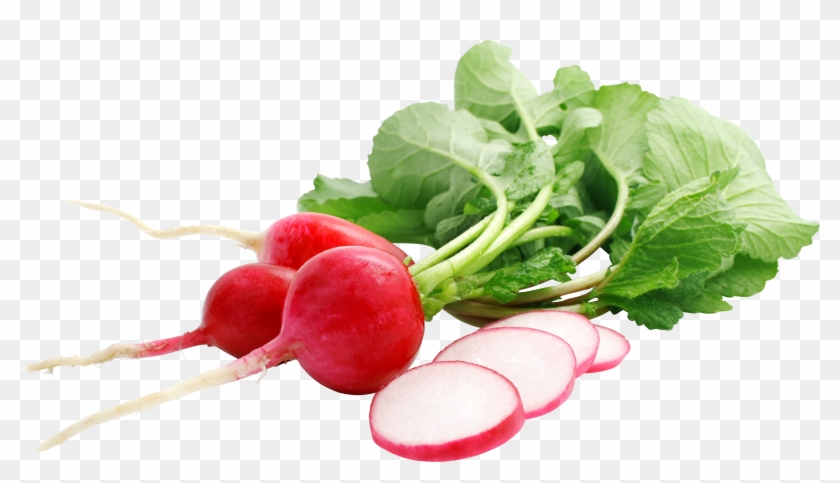 Radish Png - Raphanus Sativus Png Clipart #3921662