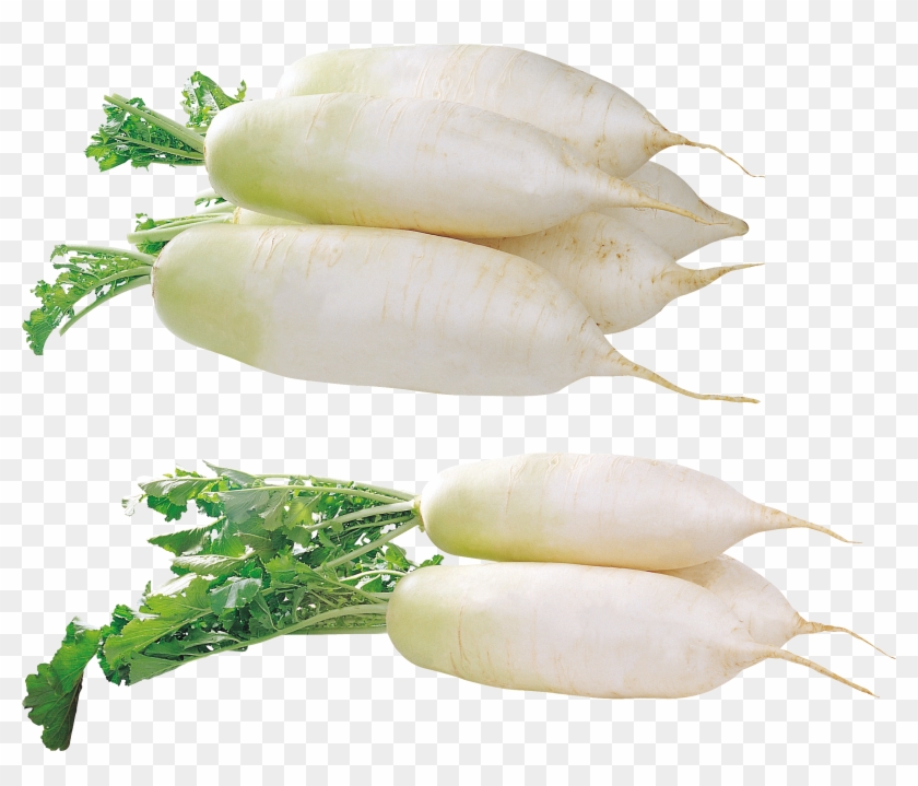 Radish Png Transparent Background Clipart #3921741