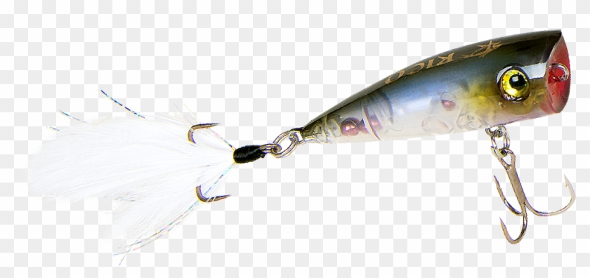 The Secrets Of Professional Bass Anglers - Bait Fish Clipart