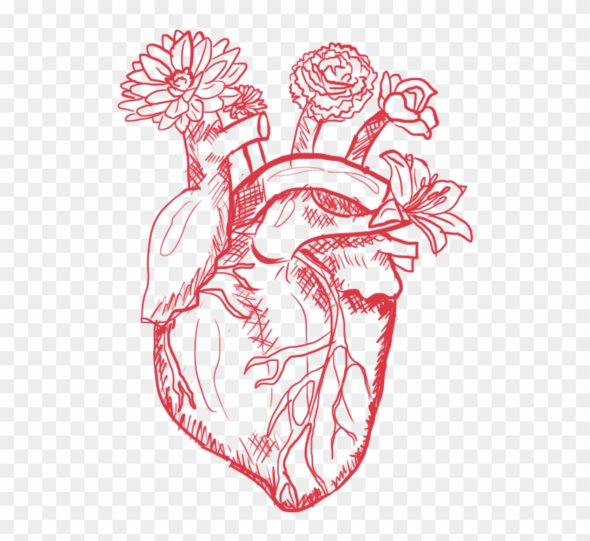 Koji's Corner - Illustration Clipart