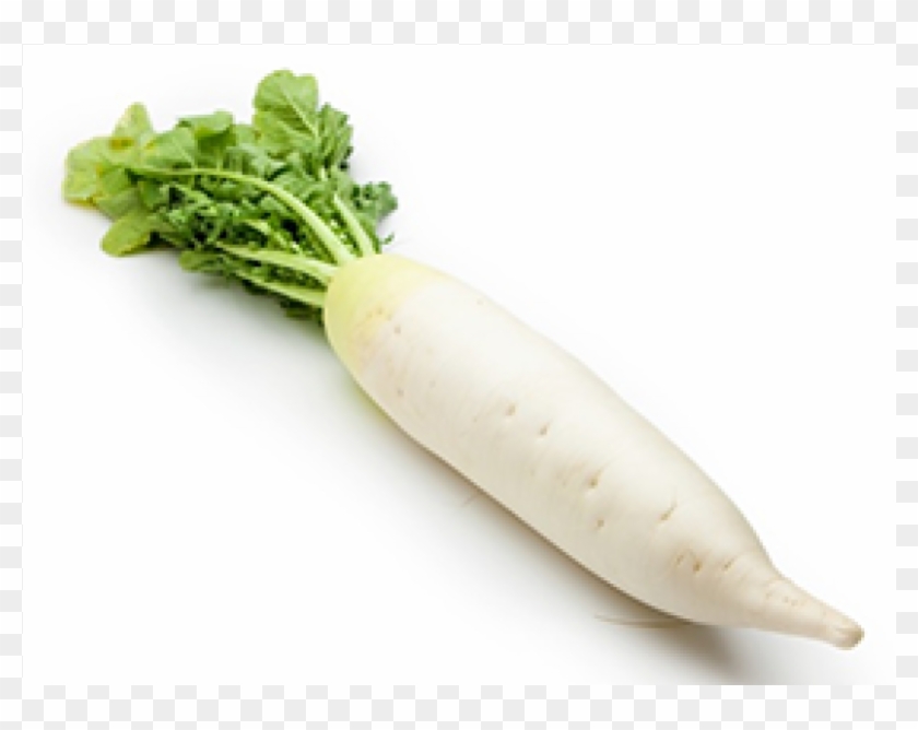 One Radish Clipart