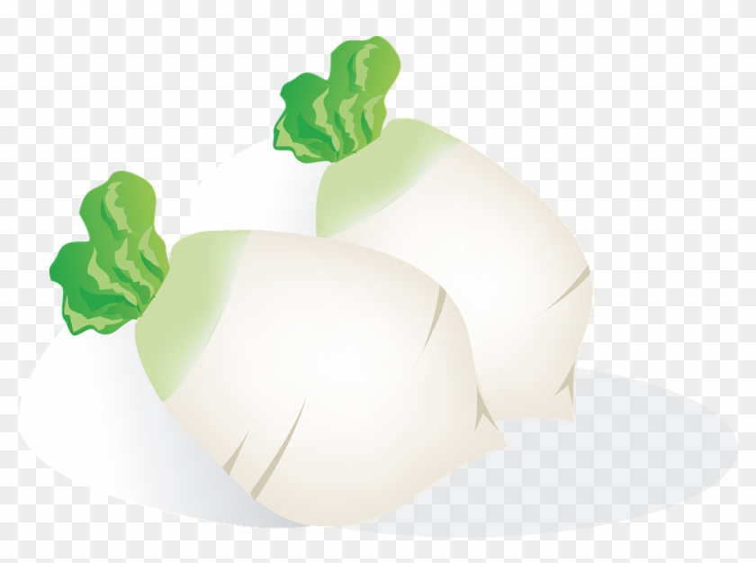 Radish, Vegetables, Food, Eat, Plant, Healthy - รูป หัว ไช เท้า การ์ตูน Clipart #3922135