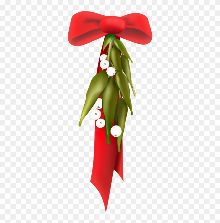 Scmistletoes Mistletoe Redribbon Bow Red Green Mydrawin - Aquifoliales Clipart #3922138