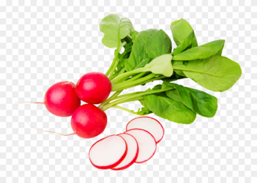 Radish - Редис Png Clipart
