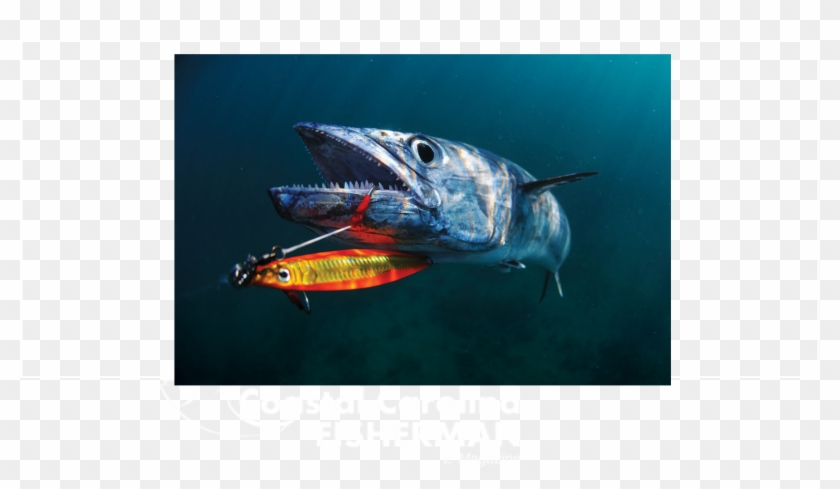 Slow Jigging Fishing Tips - Jigging Fishing Clipart #3922344