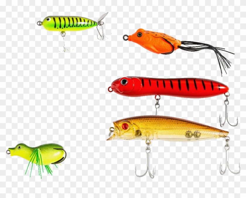 Invertebrate Clipart